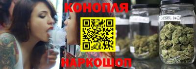 гидропоника Будённовск