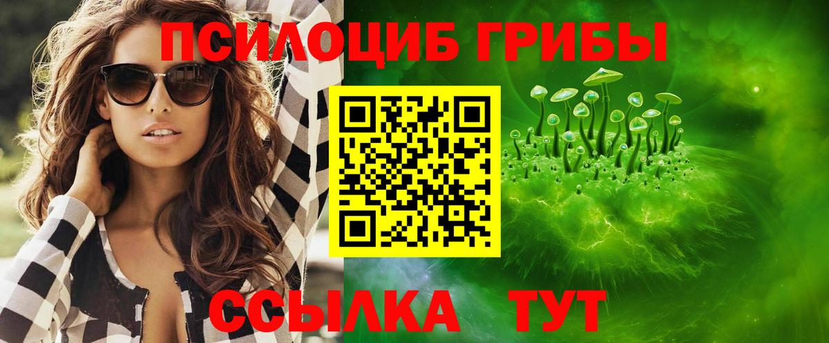 Галлюциногенные грибы мицелий  Псилоцибиновые грибы Cubensis  Холмск  Вход с VPN 